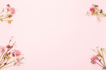 Flat lay composition with delicate pink and white columbine flowers arranged in frame on soft pastel pink background. Minimal floral border with free space for spring design, greeting card, packaging