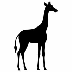 Camelopard vector Silhouette on white background