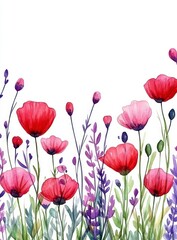 Obraz premium Watercolor Painting of Red Poppies and Lavender Flowers