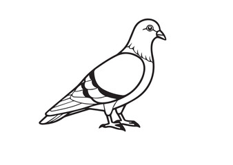 Pigeon bird silhouette vector illustration Design