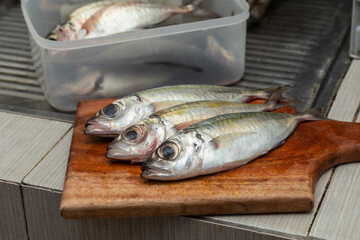 fresh fish on the chopping board in the kitchen 