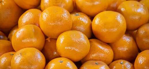 Bitter orange fruit of Citrus aurantium with thick peel and vibrant color.