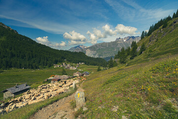Summer trekking day in the mountains over Valtournanche