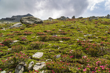 Summer trekking day in the mountains over Valtournanche