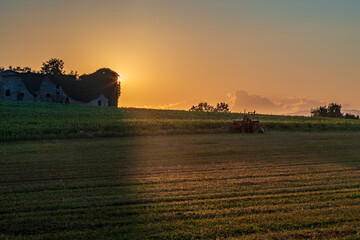 Colorful sunset in the fields of Friuli Venezia-Giulia