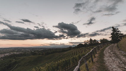 Colorful sunset in the vineyards of Savorgnano del Torre