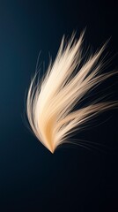 Abstract feather-like form