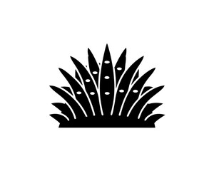 creative details Desert Grass Icon vector illustration