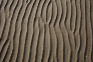 Texture - Sabbia