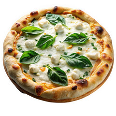 A delicious pizza topped with fresh basil and creamy cheese, showcasing a golden crust, perfect for food lovers.
