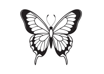 Butterfly silhouette. Pigeon logo, icon. Butterfly vector illustration Design