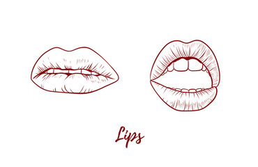 Vector lips line art illustration, graphic line art. Set of lips. Open and closed mouth. Elegant line illustration. Great for any designs, textile, art, cosmetics, package