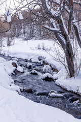 river in winter forest