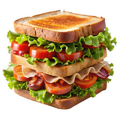 A beautifully stacked sandwich featuring layers of fresh lettuce, juicy tomatoes, and sliced turkey on toasted bread.