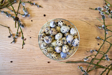 Top view of willow, quail eggs and hay, ingredients for making an Easter wreath