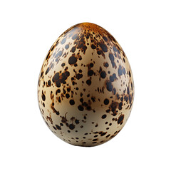 quail egg isolated on white background