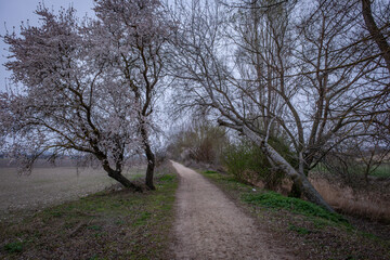 naturaleza con el resurgir de la primavera en todo su esplendor