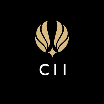 CII creative minimalist letter logo.