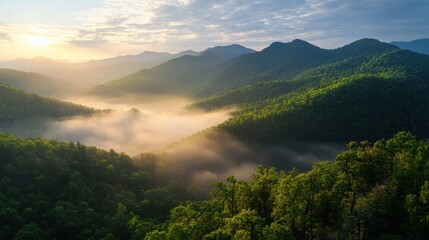 Naklejka premium A serene landscape featuring misty mountains and lush greenery, illuminated by the soft glow of sunrise.