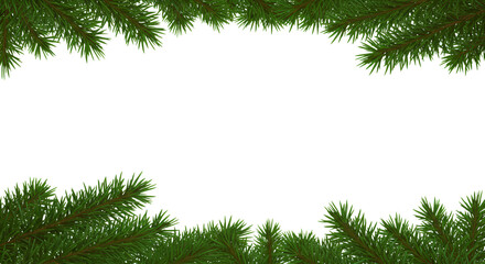 Palm leaves leaf frame border design isolated on white background. Palm branches summer design element. Tropical green plant. PNG 