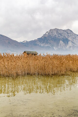 A body of water with a mountain in the background on lake Traunsee Austria