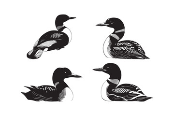 Common Loon Silhouette Vector Set Elegant Waterbird Illustrations