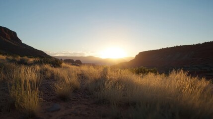 A stunning sunset over rugged terrain, with golden grasses illuminated by the warm light, creating a serene and tranquil landscape.