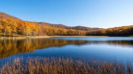 Fototapeta premium A serene lake surrounded by vibrant autumn foliage and reflected blue skies, creating a tranquil natural landscape.