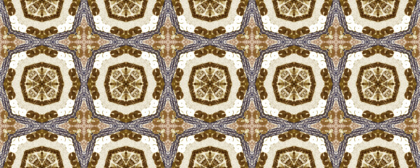 Seamless Ethnic Embroidery. Wicker Embroidery