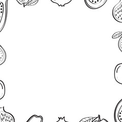 exotic fruits decorative frame in vector