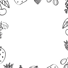  berries decorative frame in vector