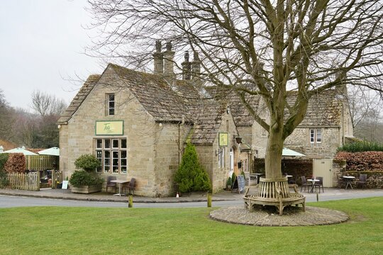 The Tea on The Green tearoom with tree outside and wooden bench. Bolton Abbey, Skipton, England, UK. March 2025. 