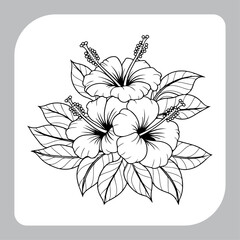 Decorative Floral Line Drawing