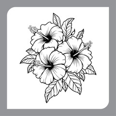 Monochrome Hibiscus Botanical Art