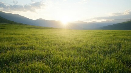Fototapeta premium A serene landscape featuring lush green grass under a vibrant sky, with mountains in the background and the sun rising, creating a peaceful atmosphere.