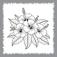 Hibiscus Bloom Line Art Vector