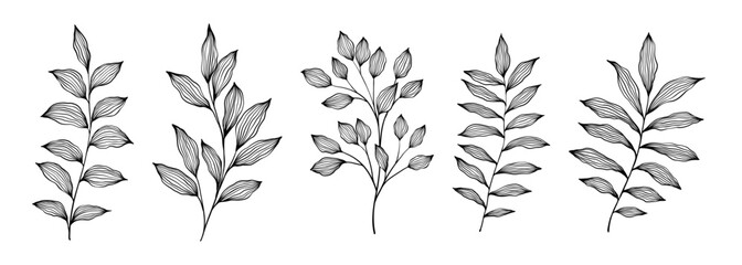 Naklejka premium Set of branch and leaves collection. Floral hand drawn vintage set. Sketch line art illustration. Element design for greeting cards and invitations of wedding, birthday