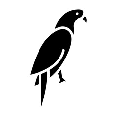 Fototapeta premium Parrot