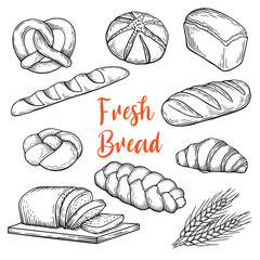 Line drawing illustration of bread. Engraving collection. Black hand drawing set of bakery items isolated on white background.