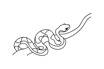 Elegant Line Art Drawing of a Coiled Snake on Branch