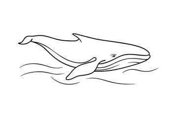 Obraz premium Line drawing of a humpback whale swimming in the ocean
