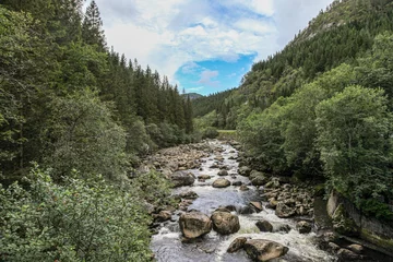 Fototapete A river with a rocky bed and trees in the background in Norway © vip-photoworld