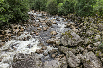 A river with a rocky bed and trees in the background in Norway