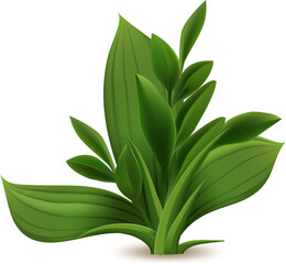 Realistic vector illustration of a vibrant green grass growing in the spring season, isolated on a white background, perfect for nature and gardening projects