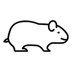 Guinea Pig