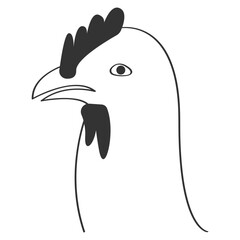 chicken vector illustration design