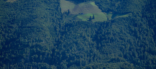 Mountains and tree background. Mountains landscape. Alpine meadows and beautiful mountains. Forest background. Mountain landscape background. Panoramic view of mountain. Nature background.