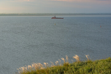 Cargo ship sailing in the bay. Seascape, view from the high shore. Feather grass (Stipa) in the foreground.
