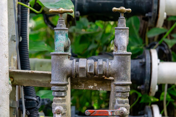 hot and cold water taps in a plant greenhouse. rusty water pipes. botanical garden. climbing plants.