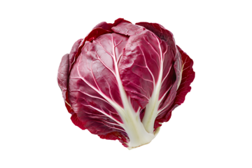 Fresh red radicchio Isolated on White and Transparent Background PNG Image.